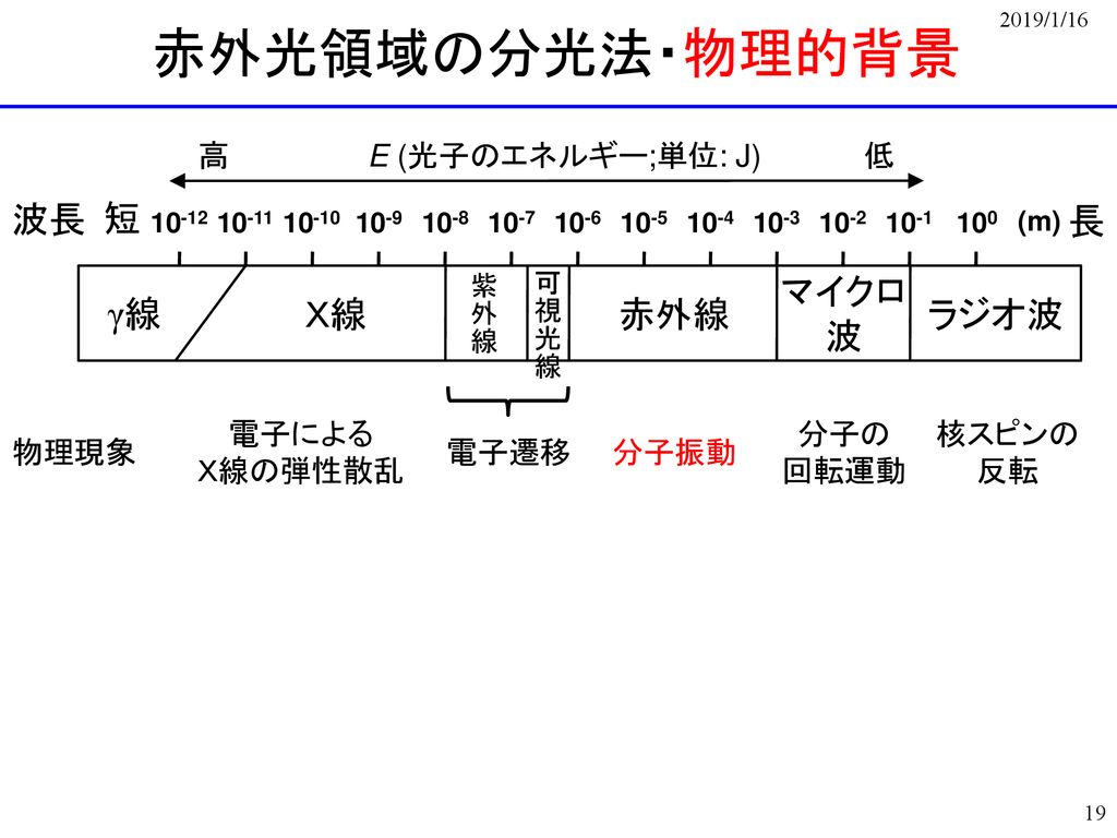 激レア 生体分子の分析科学 割引発見 www.m-arteyculturavisual.com